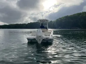 Thumbnail von Boston Whaler 250 Dauntless