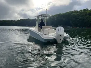 Thumbnail von Boston Whaler 250 Dauntless