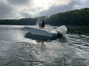 Thumbnail von Boston Whaler 250 Dauntless
