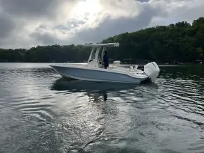 Thumbnail von Boston Whaler 250 Dauntless