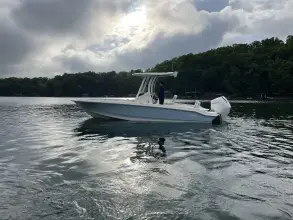 Thumbnail von Boston Whaler 250 Dauntless