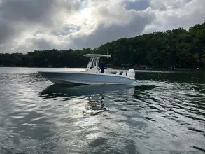 Thumbnail von Boston Whaler 250 Dauntless