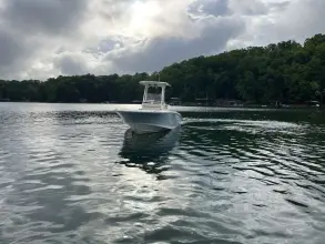 Thumbnail von Boston Whaler 250 Dauntless