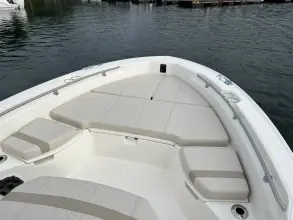Thumbnail von Boston Whaler 250 Dauntless