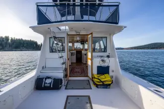 Thumbnail von Northern Bay 36 Kayla Rose