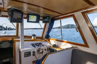 Thumbnail von Northern Bay 36 Kayla Rose