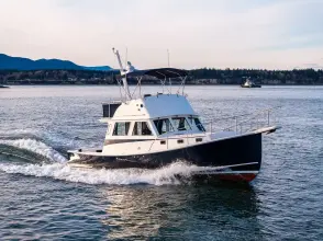 Thumbnail von Northern Bay 36 Kayla Rose