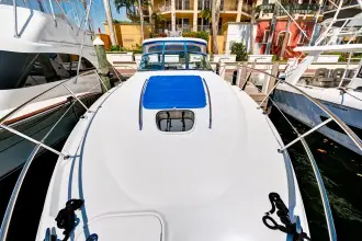 Thumbnail von Sea Ray Sundancer 38