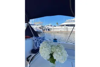 Thumbnail von Jeanneau Sun Odyssey 45