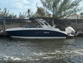 Sea Ray SDX 270 Outboard