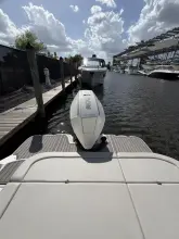 Thumbnail von Sea Ray SDX 270 Outboard