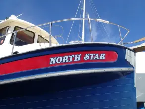 Thumbnail von Nordic Tugs 32 North Star