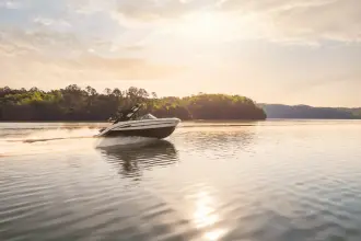Thumbnail von Sea Ray SDX 230 Surf