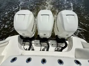 Thumbnail von Boston Whaler 350 Outrage