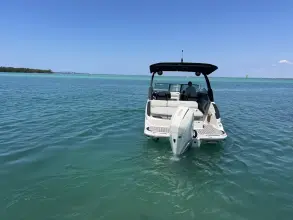Thumbnail von Sea Ray SLX 260 Outboard