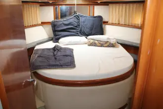 Thumbnail von Carver 45 Voyager Pilothouse