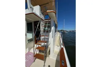 Thumbnail von Sabre 42 Fly Sedan Buena Vista