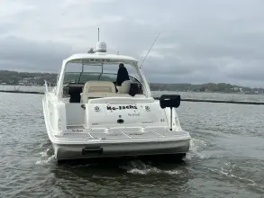 Thumbnail von Sea Ray 440 Sundancer