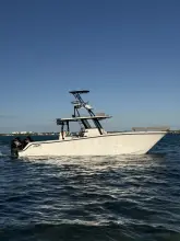 Thumbnail von Invincible 33 Catamaran Compensating