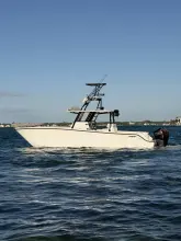 Thumbnail von Invincible 33 Catamaran Compensating