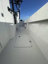 Thumbnail von Invincible 33 Catamaran Compensating