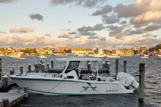 Blackfin 272 CC Double Eagle