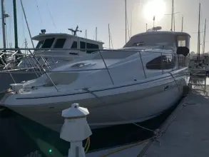 Thumbnail von Sea Ray 390 Motor Yacht R Sea Cat