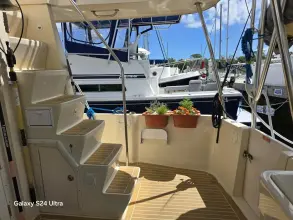 Thumbnail von Mainship 400 Trawler Sol Mate