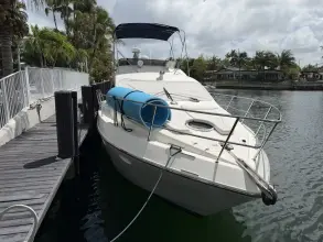 Thumbnail von Azimut 39