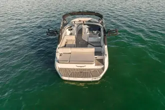 Thumbnail von Sea Ray SDX 230 Surf