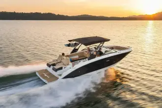 Sea Ray SDX 290 