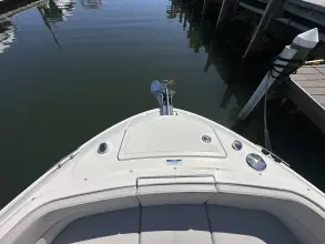 Thumbnail von Sea Ray SLX 310 Outboard