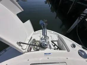 Thumbnail von Sea Ray SLX 310 Outboard