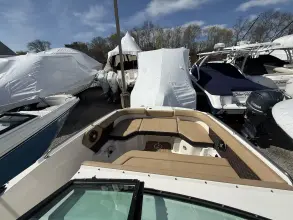 Thumbnail von Sea Ray SDX 250 Outboard