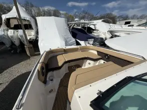 Thumbnail von Sea Ray SDX 250 Outboard
