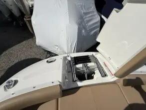 Thumbnail von Sea Ray SDX 250 Outboard