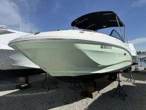 Thumbnail von Sea Ray SDX 250 Outboard
