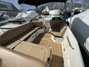 Thumbnail von Sea Ray SDX 250 Outboard