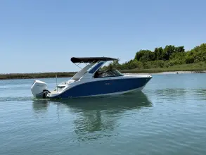 Thumbnail von Sea Ray SDX 230 Outboard