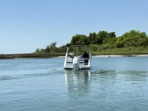 Thumbnail von Sea Ray SDX 230 Outboard