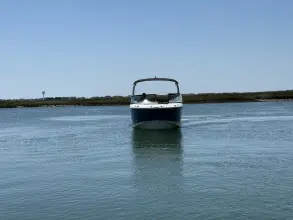 Thumbnail von Sea Ray SDX 230 Outboard