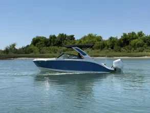 Thumbnail von Sea Ray SDX 230 Outboard