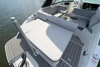Thumbnail von Sea Ray SDX 250 Outboard