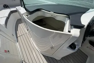 Thumbnail von Sea Ray SDX 250 Outboard
