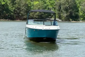 Thumbnail von Sea Ray SDX 250 Outboard