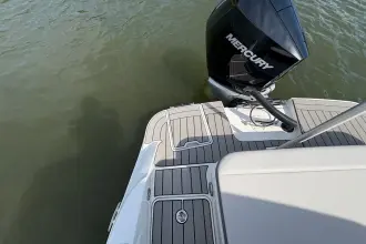 Thumbnail von Sea Ray SDX 250 Outboard