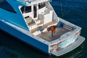 Thumbnail von Viking 54 Sport Coupe What a Country
