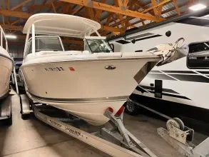 Pursuit 246 Dual Console