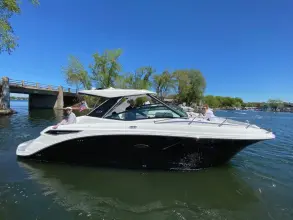 Thumbnail von Sea Ray 320 Sundancer Outboard