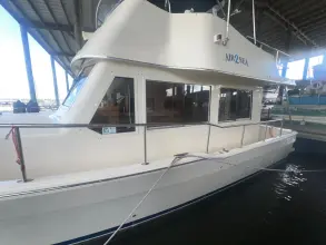 Thumbnail von Mainship 34 Trawler